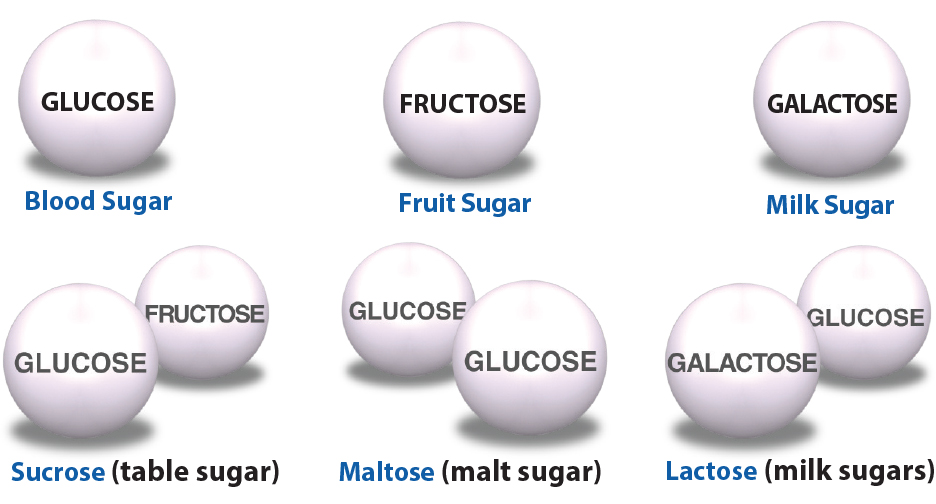 understanding-carbohydrates