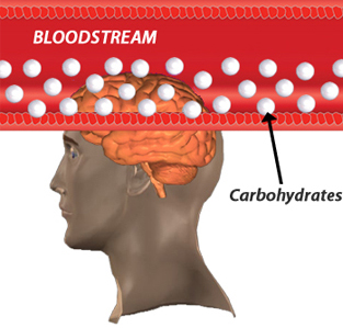 bloodcarbohydrate-levels